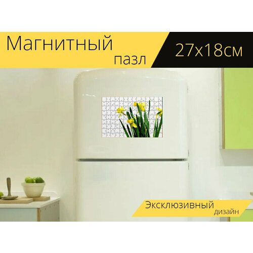 Магнитный пазл Нарцисс, желтый, цветок на холодильник 27 x 18 см.