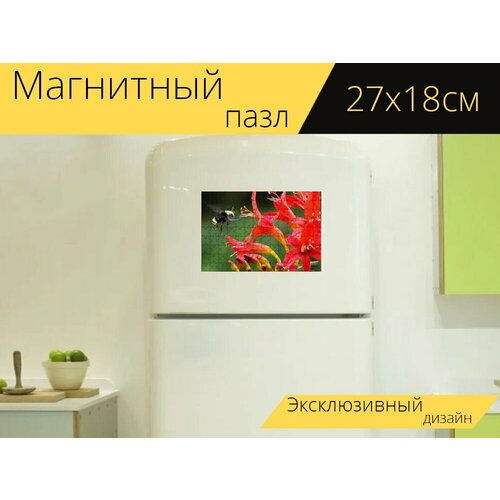Магнитный пазл Цветы, крокосмия, люцифер на холодильник 27 x 18 см. крокосмия монтбреция люцифер 5шт