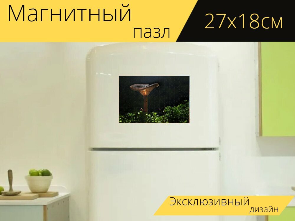 Магнитный пазл "Гриб, падение, макрос" на холодильник 27 x 18 см.