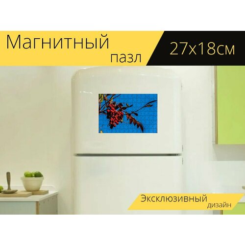 Магнитный пазл Рябина, осень, падение на холодильник 27 x 18 см.
