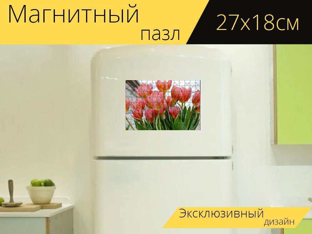 Магнитный пазл "Тюльпан, тюльпаны, цветок" на холодильник 27 x 18 см.