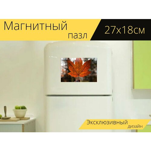 Магнитный пазл Клен, лист, рука на холодильник 27 x 18 см. магнитный пазл клен остроконечный клен красный на холодильник 27 x 18 см
