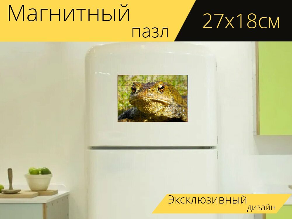 Магнитный пазл "Лягушка, жаба, целующаяся лягушка" на холодильник 27 x 18 см.