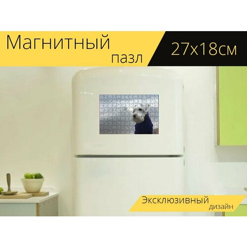 Магнитный пазл Шнауцер, белый шнауцер, собака на холодильник 27 x 18 см. собака шнауцер 25см серая