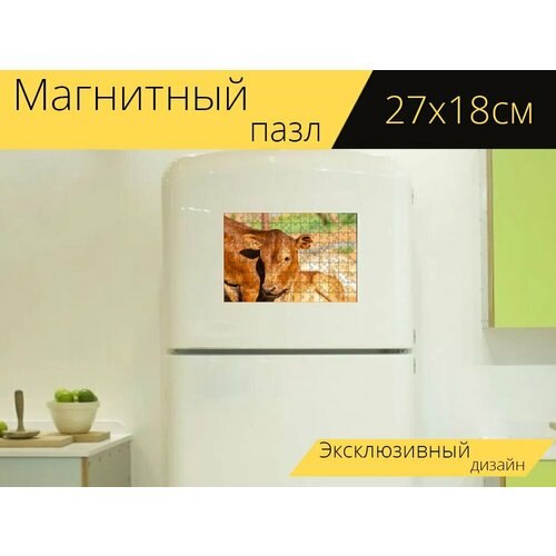 Магнитный пазл Корова, телец, ферма на холодильник 27 x 18 см. магнитный пазл корова телец пастбище на холодильник 27 x 18 см
