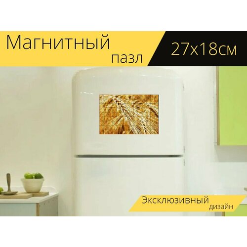 Магнитный пазл Рожь, поле, сельское хозяйство на холодильник 27 x 18 см. магнитный пазл тюков соломы кг сельское хозяйство на холодильник 27 x 18 см