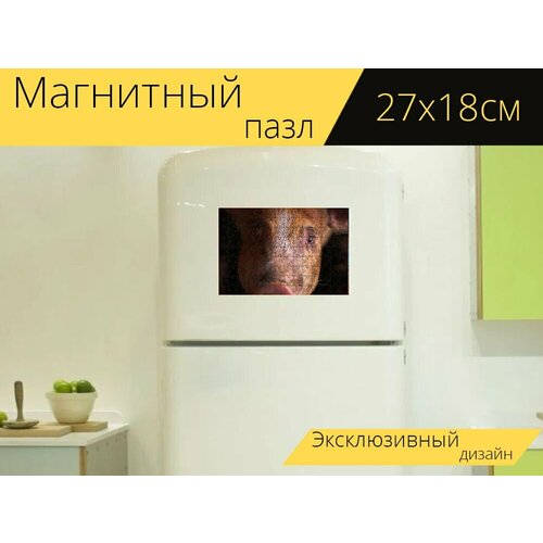 Магнитный пазл Свинья, поросенок, животное на холодильник 27 x 18 см. магнитный пазл поросенок спать свинья на холодильник 27 x 18 см