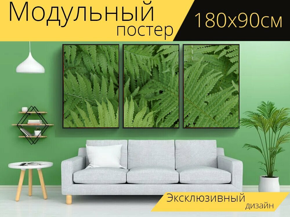 Модульный постер "Папоротники, листья папоротника, папоротник" 180 x 90 см. для интерьера