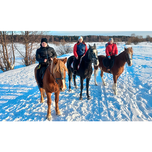Семейная конная прогулка в поля для 2 взрослых и 2 детей (1 час) (Московская область)