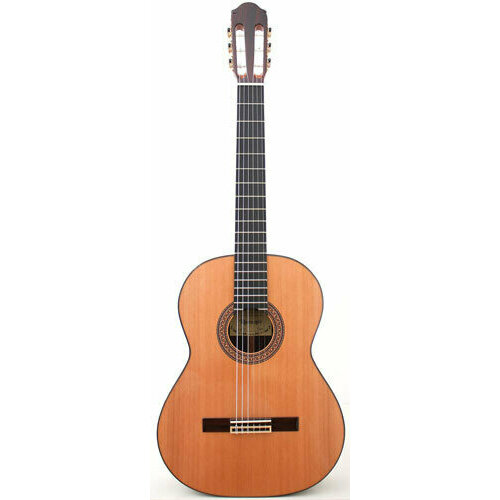 Classical guitar Raimundo 130 Cedar - Profesor series guitar for advanced students and amateurs. Solid rosewood sides and laminated back, cedar top.