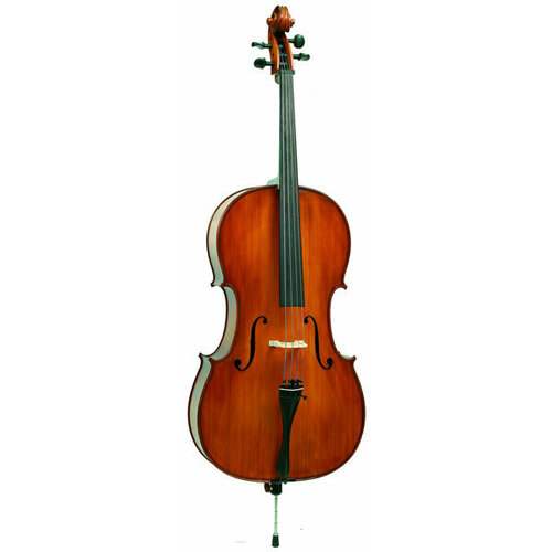Cello Gliga Genial1 S-C034 - Student cello with a resonant spruce top and a slightly flamed maple body. Oil-based varnish coating. Ebony accessories.