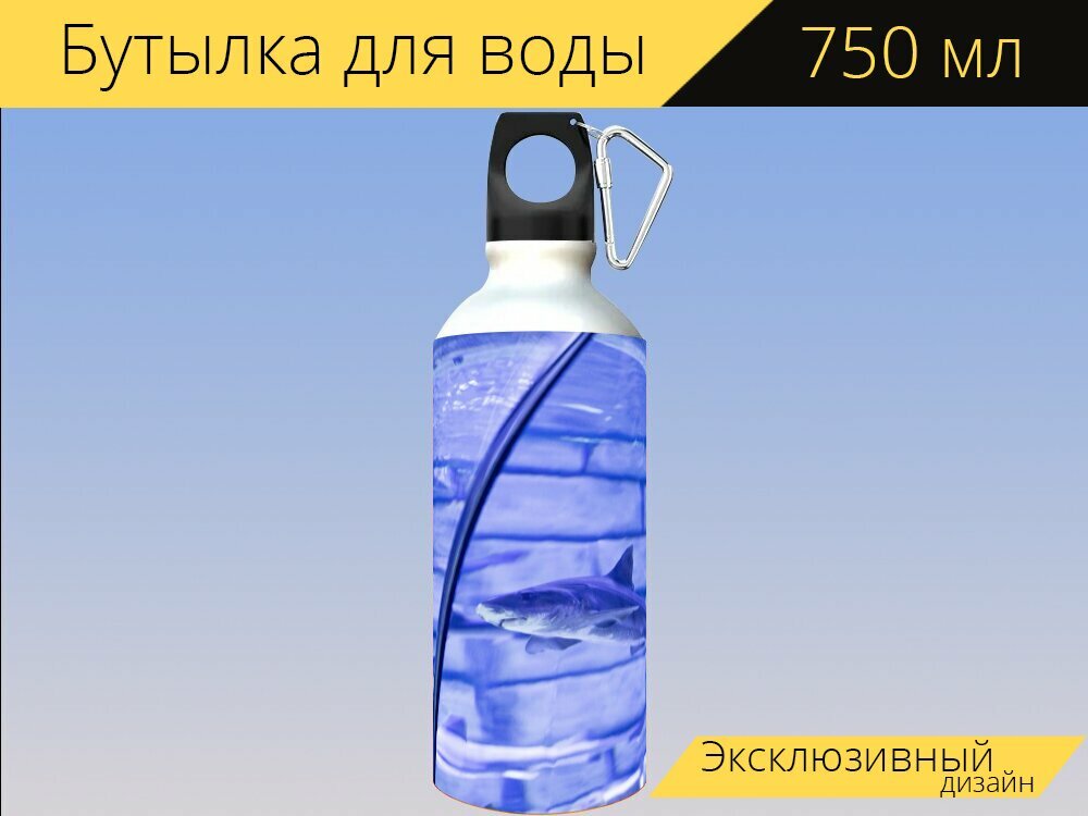 Бутылка фляга для воды "Акула, рыба, рыбы" 750 мл. с карабином и принтом