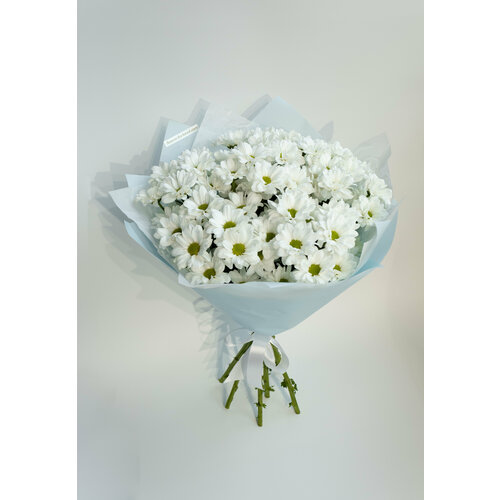 Моно букет из 7 Хризантем, Живые, свежие цветы