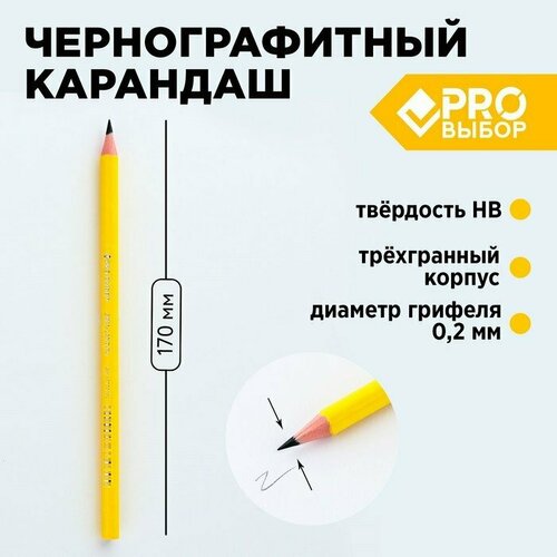 Карандаш простой чернографитный НВ PROвыбор «Градиент» (комплект из 144 шт)