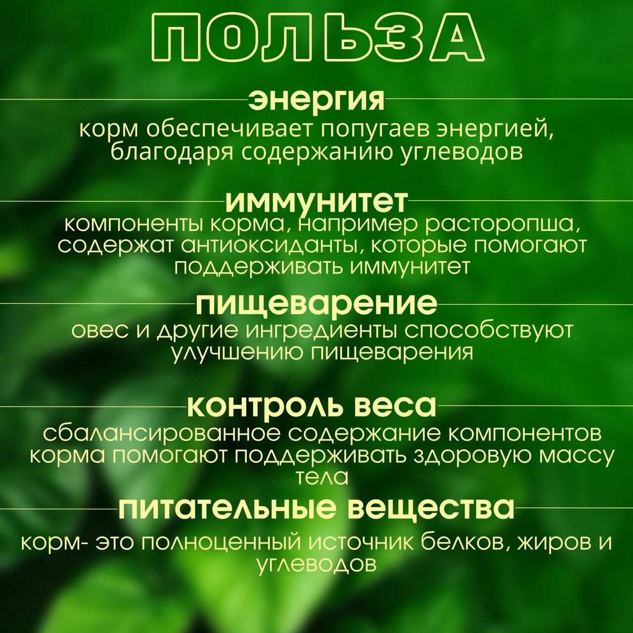Корм для малых и средних попугаев рафа 1 кг — фото 1
