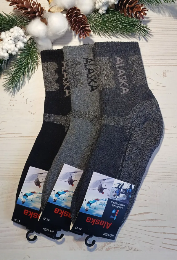 Носки ALASKA, комплект, 6 пар, размер Мужские, разноцветные — фото 1