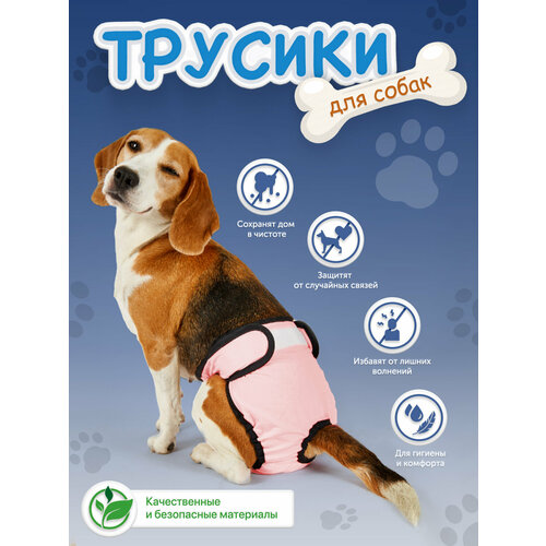 Трусы для собаки во время течки многоразовые XL, подгузники для собак крупных пород впитывающие