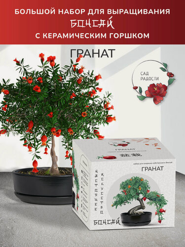 Изображение товара Бонса Гранат Набор для выращивания растений и деревьев бонсай для дома