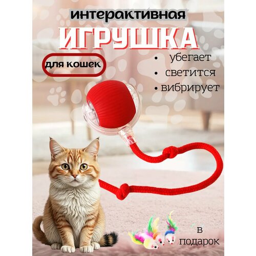 Игрушка для кошек интерактивная умный мяч