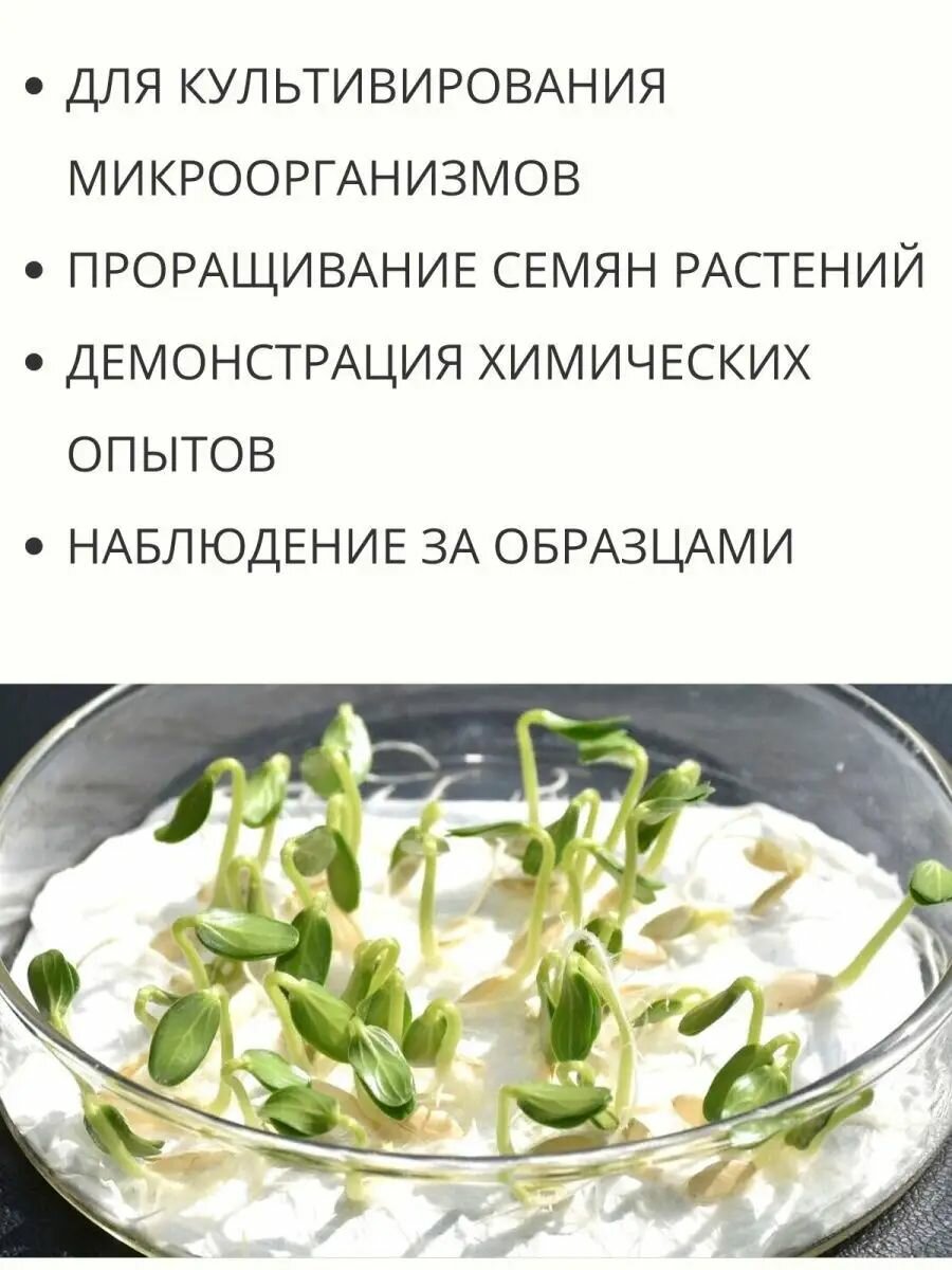 Набор Чашка Петри пластиковая трех секционная D-90 мм, 5 шт — фото 1