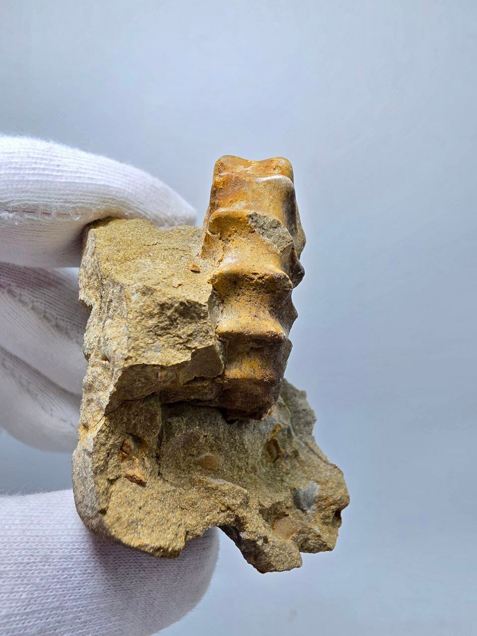 Аммонит 57 мм, 106 г. — фото 1