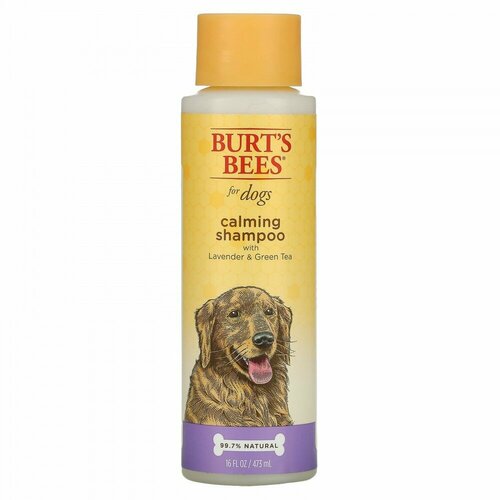 Burt' s Bees, Успокаивающий шампунь для собак с лавандой и зеленым чаем, 473 мл (16 жидк. Унций)