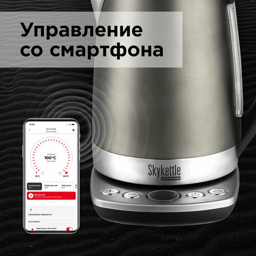 Чайник REDMOND SkyKettle M173S-E, серый