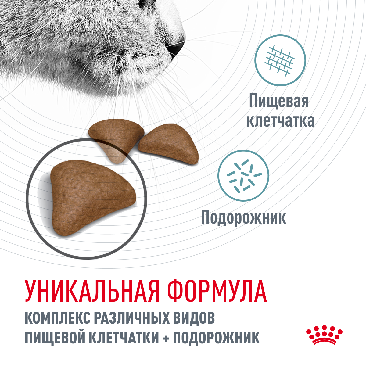 Сухой корм Royal Canin Hairball Care для взрослых кошек с полудлинной шерстью, 400г - фото №6