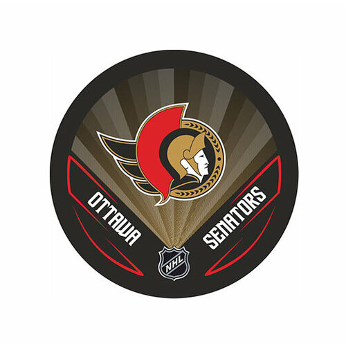 Шайба Rubena NHL 2022 Ottawa Senators шайба rubena nhl 2022 dallas stars