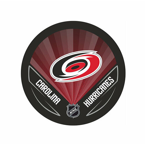 Шайба Rubena NHL 2022 Carolina Hurricanes