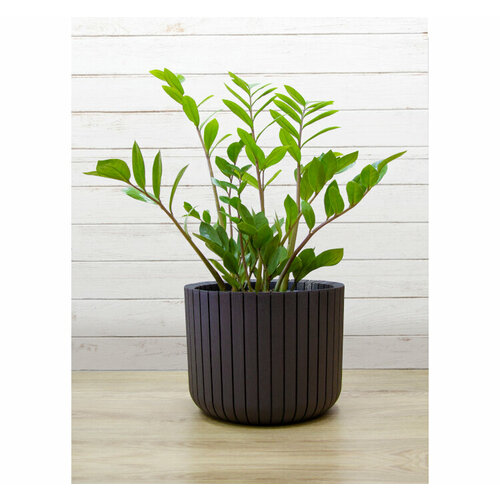 Кашпо шато 8Л D-250200 М-ПЛ 1959₽