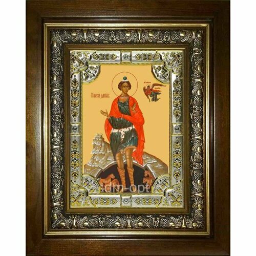 Икона Даниил пророк, 18x24 см, со стразами, в деревянном киоте, арт вк-1881