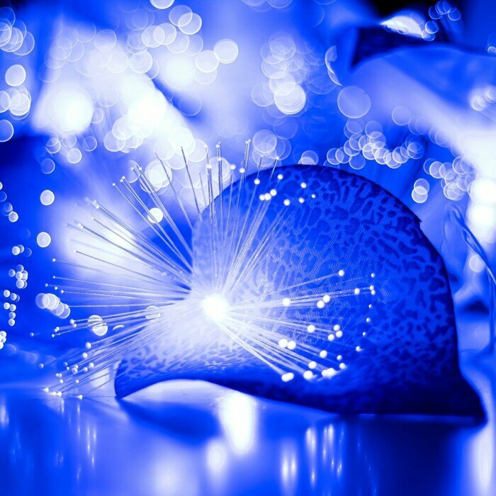Декоративная подсветка "Антуриум" 20хLED 4000К 5м синий 500х9х10см - фотография № 1