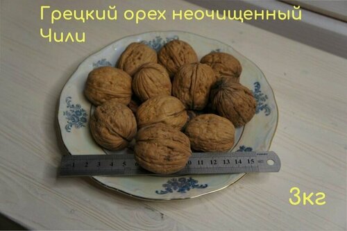 Изображение товара Грецкий орех в скорлупе Чили, Грецкий орех Чили крупный, 3кг
