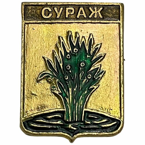 Знак Сураж. Герб (Брянская область) СССР 1981-1990 гг. знак кубанская область герб ссср 1981 1990 гг родник