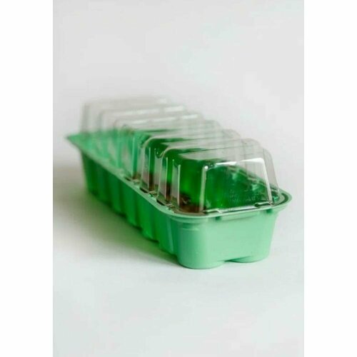 С торфяными таблетками мини-теплица Сила Суздаля Podkormin зеленый