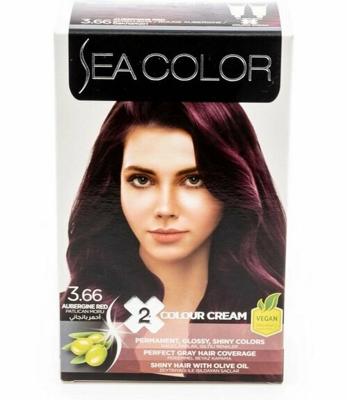 SEA COLOR Набор для окрашивания волос HAIR DYE KIT 3.66 Баклажан