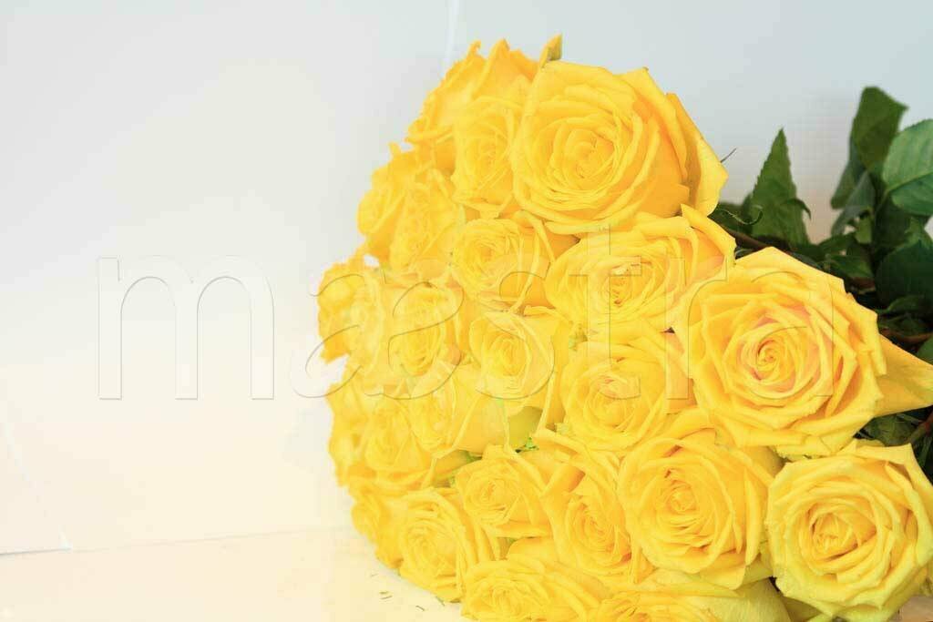 Фотообои Букет желтых роз красивый 275x413 (ВхШ), бесшовные, флизелиновые, MasterFresok арт 10-304