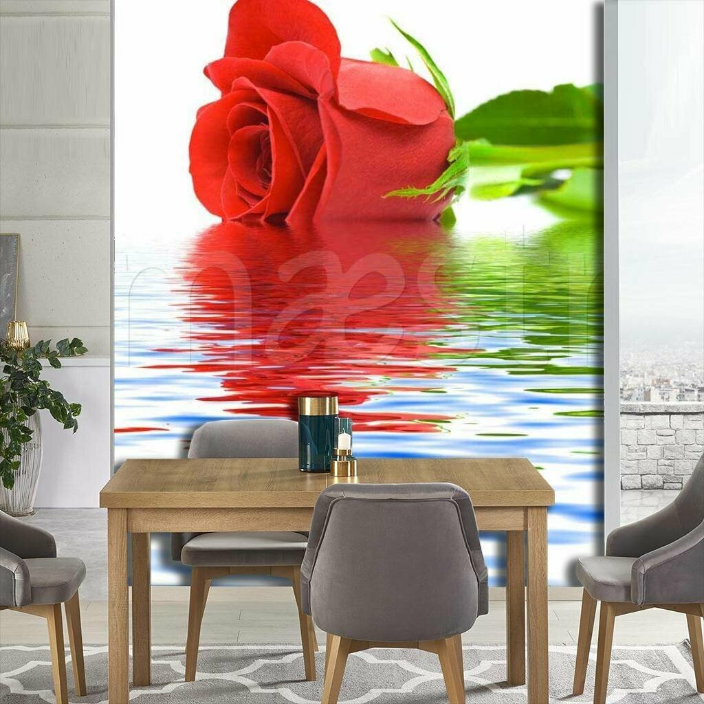 Фотообои Красная роза над водой 275x184 (ВхШ), бесшовные, флизелиновые, MasterFresok арт 10-270