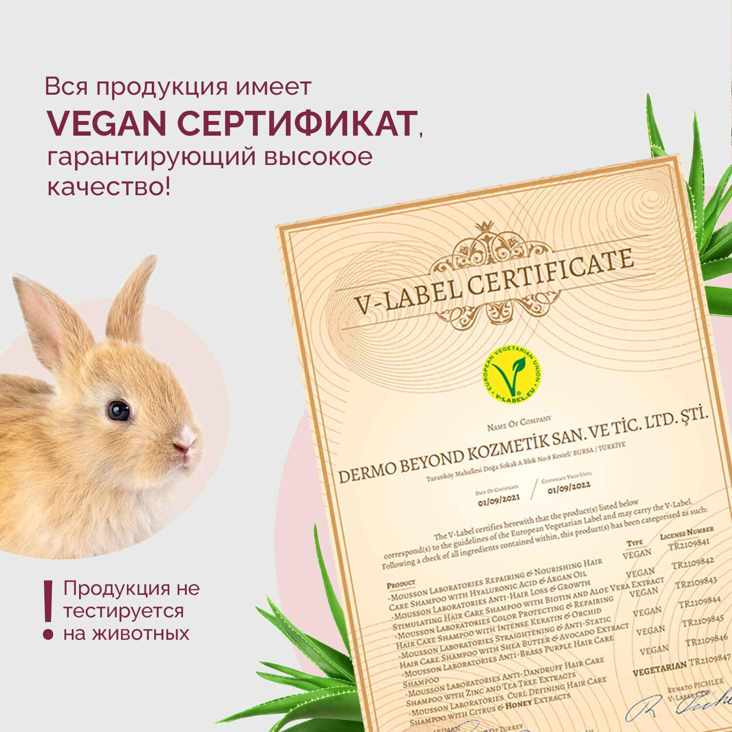 Обзор: Кондиционер для волос Mousson против выпадения волос с алоэ вера женский, 365 мл