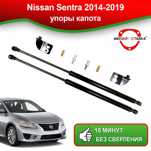 Упоры капота для Nissan Sentra B17 2014-2019 / Газовые амортизаторы капота Ниссан Сентра B17