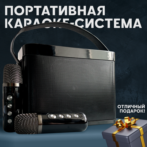 Переносная караоке система Попурри с двумя микрофонами, черная.