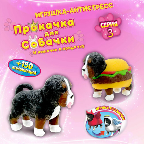 Игрушка антистресс 1TOY Прокачка для собачки серия 3, Бернская гончая-гамбургер, тянущаяся собачка в костюмчике 10см,