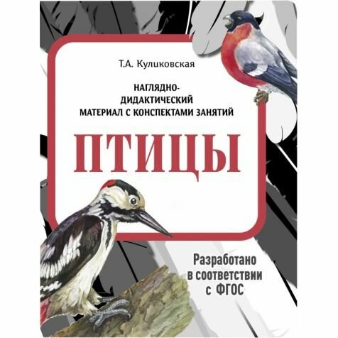 Наглядно-дидактический материал Стрекоза Птицы. 2022 год, Т. Куликовская