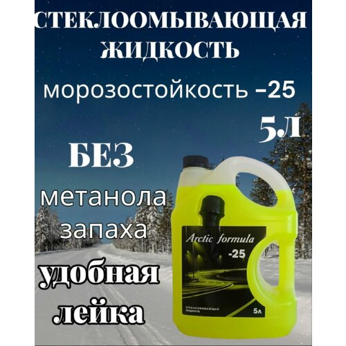 Жидкость стеклоомывателя зимняя 5 л / незамерзайка, омывайка зимняя-25 Arctic formula