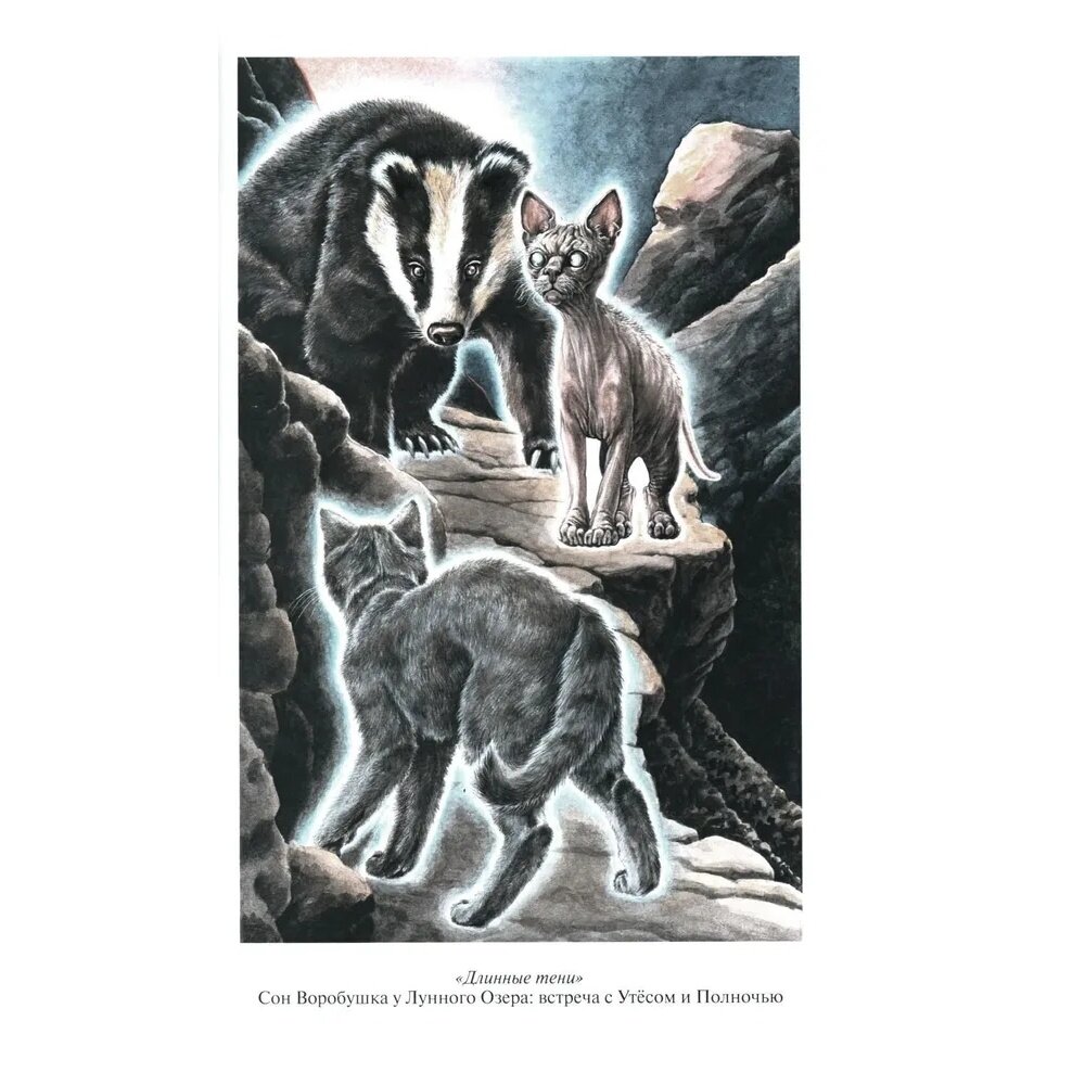 Книга Коты-воители. Длинные тени. Восход солнца - фото №3