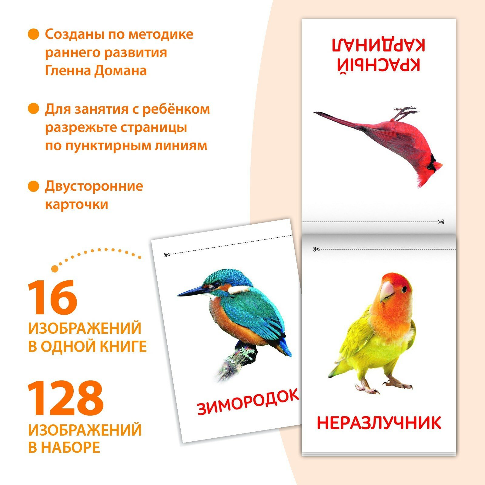 Книги «Карточки Домана. Окружающий мир», набор, 8 шт. по 20 стр. — фото 1