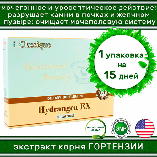 Hydrangea EX Santegra / Экстракт Корня Гортензии, 30 капсул 300 мг - натуральный уросептик / Нормализация водно-солевого баланса /