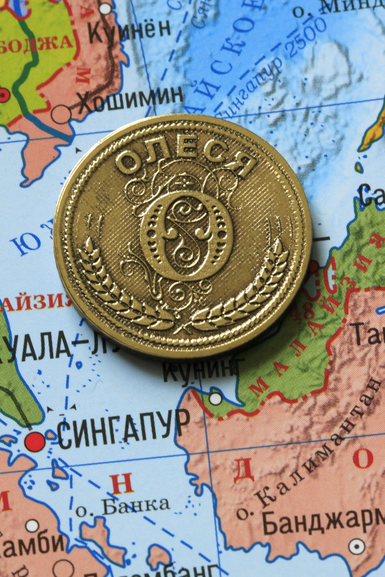 Именная оригинальна сувенирная монетка в подарок на богатство и удачу для женщины, девушки и девочки - Олеся