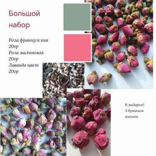 Сухоцветы 3х видов, большой набор для тортов, мыла, свечей, декора